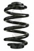 SPIDAN 85549 Coil Spring